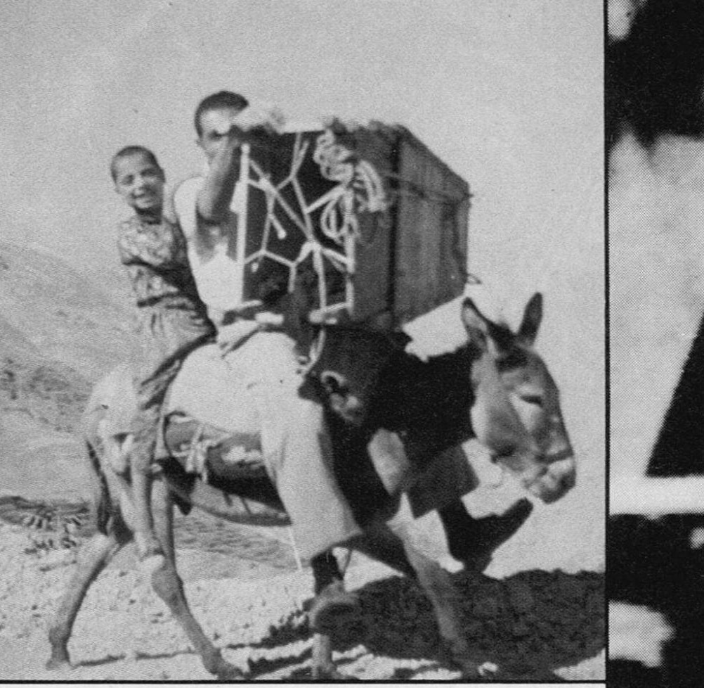 Two boys riding a loaded donkey along a dirt road in the Iranian hills
